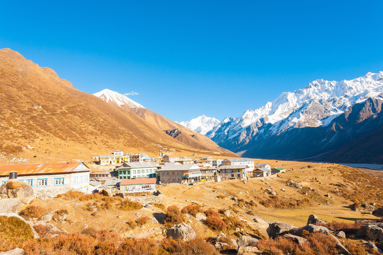 Langtang Vallei TrekPrivé trektocht zonder maaltijden maar beschikbaar voor aankoop