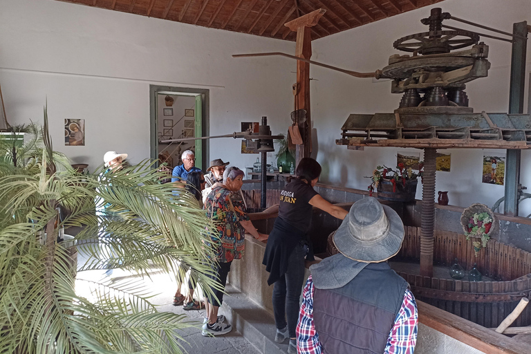 Gran Canaria: Hoogtepunten wijnproeverij &amp; excursie aan wal