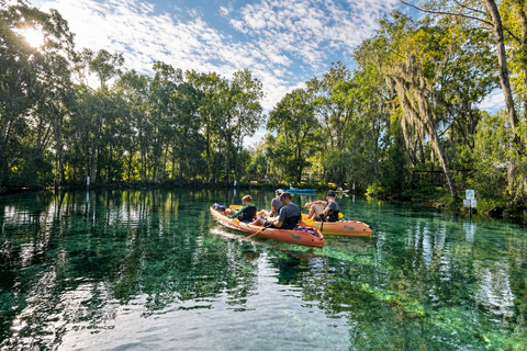 Crystal River: Full-Day Tandem Kayak Rental