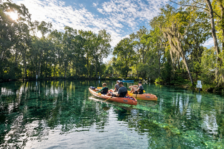 Crystal River: Full-Day Tandem Kayak Rental