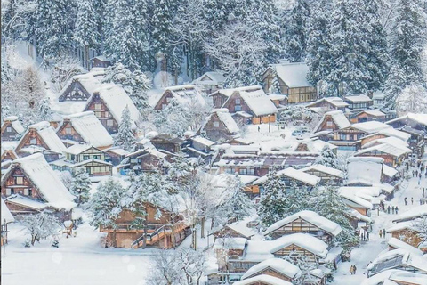 Nagoya Exclusive: Shirakawa-go Gassho Village &Takayama Tour 8:30 AM at Takayama & Shirakawa-go Gassho Village Day Tour