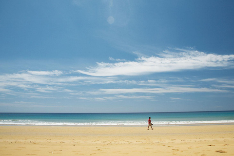Z Funchal: 1-dniowy rejs i wycieczka na wyspę Porto SantoZ Funchal: 1-dniowy rejs wycieczkowy do Porto Santo
