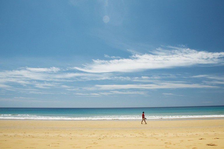 Z Funchal: 1-dniowy rejs i wycieczka na wyspę Porto SantoZ Funchal: 1-dniowy rejs wycieczkowy do Porto Santo
