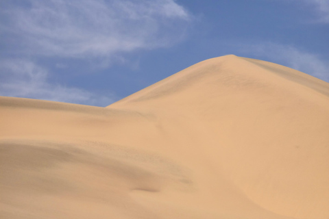 Small group Walvis Bay Lagoon tour with dunes & Swakopmund