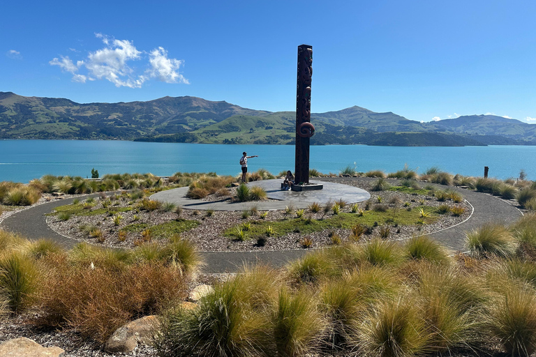 From Christchurch: Akaroa Private Day Trip & Nature Cruise