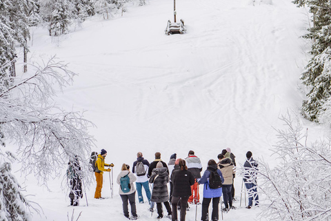 Vanuit Oslo: Sneeuwschoentocht met gids door Oslomarka ForestVanuit Oslo: begeleide sneeuwschoentocht door het bos van Oslomarka