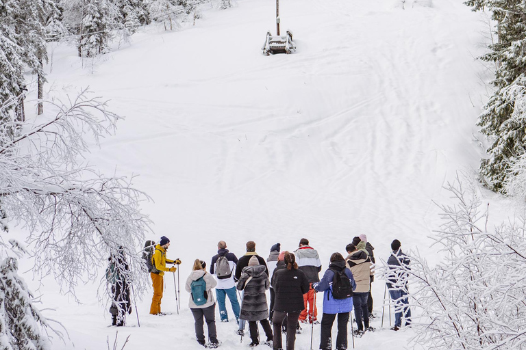 Depuis Oslo : Visite guidée en raquettes de la forêt d'OslomarkaDepuis Oslo : Randonnée guidée en raquettes dans la forêt d'Oslomarka