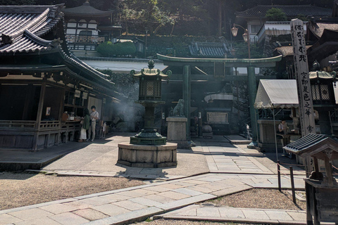 Nara: Mt. Ikoma Guided Hiking Tour with Cable Car and Views