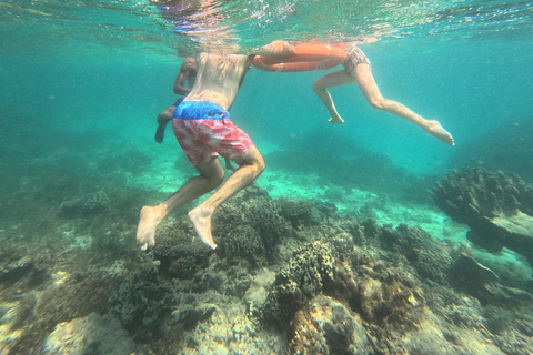 Diani Beach: Kisite Marine Park & Wasini Island Day Trip