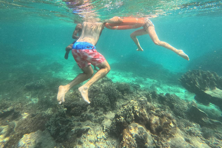 Diani Beach: Kisite Marine Park & Wasini Island Day Trip