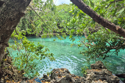 Port Vila: Natural Wonders & Waterfall Tour with BBQ Lunch