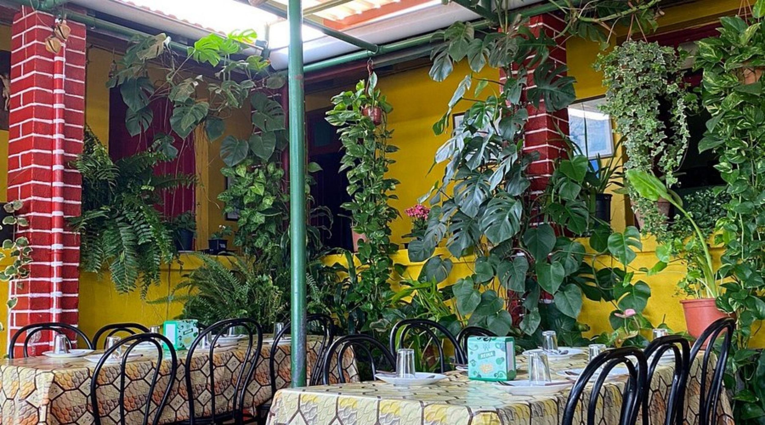 Teneriffa: Schätze von La Orotava, historische Landschaften und traditionelles Mittagessen