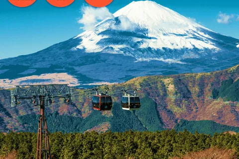 Tokyo: Hakone Fuji Day Tour w/ Cruise, Cable Car, Volcano