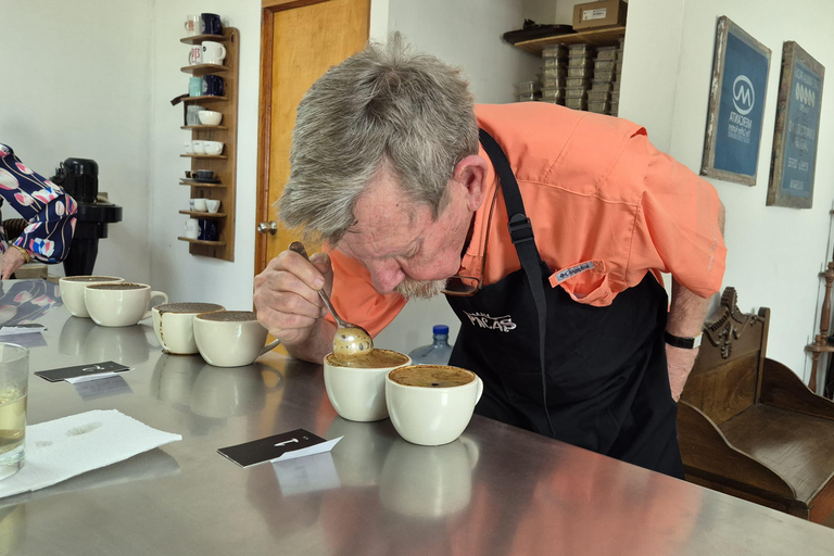 Coffee Experience: Processing, Tasting, and Visit to Alquimia Café Café Tour + Tasting Experience + Boquerón Park