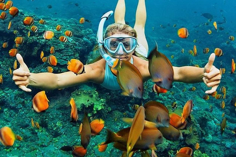 Cham Island: Group Snorkeling Trip by Speedboat Cham Island Speedboat Snorkeling Tour with Hoi An Pickup