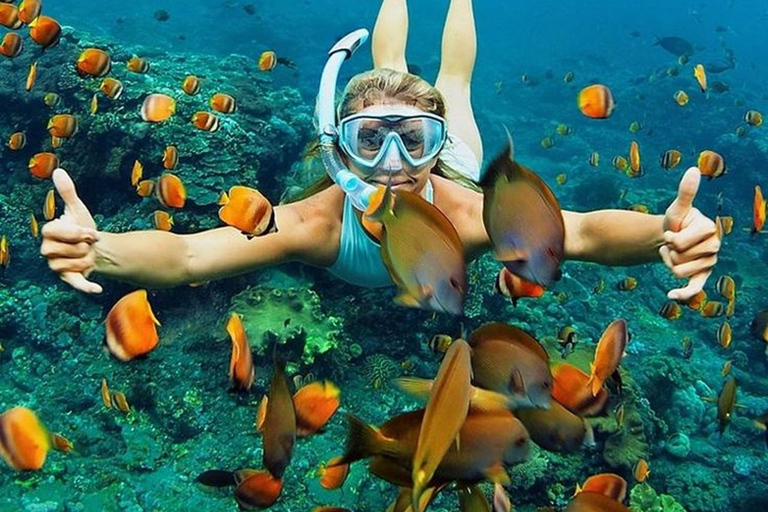 Cham Island: Group Snorkeling Trip by Speedboat Cham Island Speedboat Snorkeling Tour with Hoi An Pickup