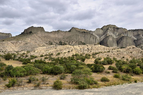 Från Tbilisi: Dagsutflykt till Vashlovani nationalpark