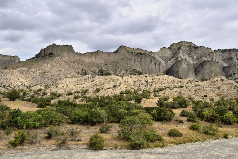 Från Tbilisi: Dagsutflykt till Vashlovani nationalpark