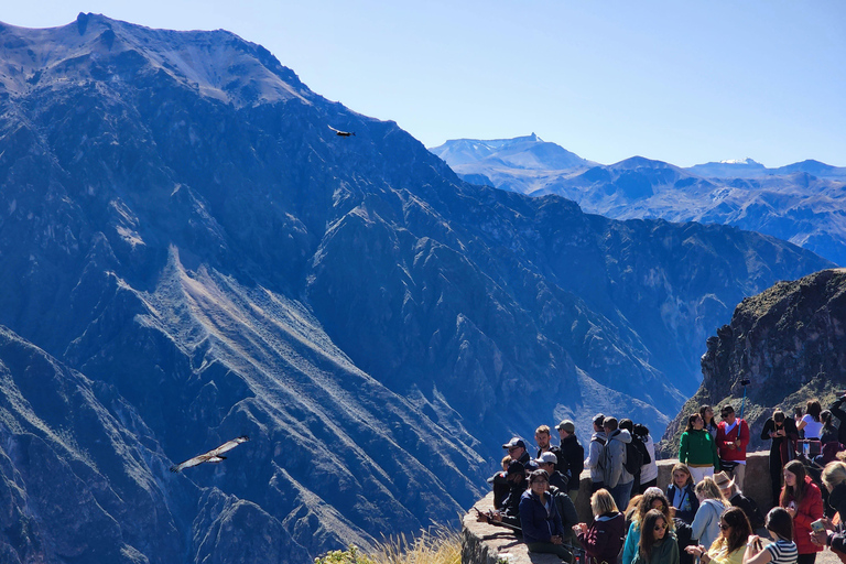From Arequipa: 1-Day Colca Canyon Tour ending in Puno