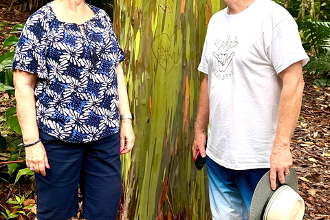 Maui: Full-Day Hana Tour with Snacks and Drinks