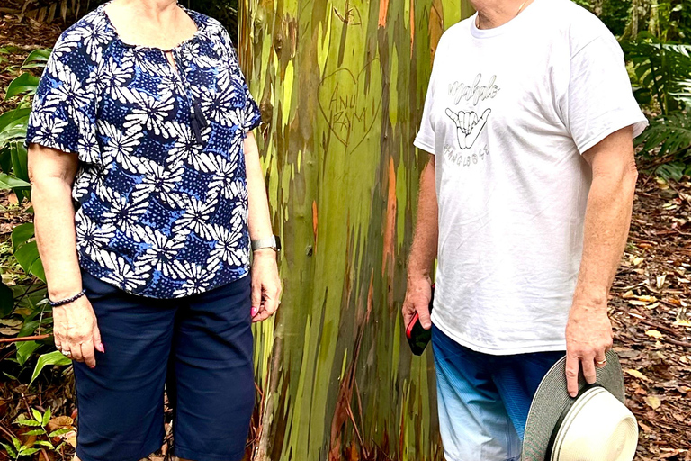 Maui: Full-Day Hana Tour with Snacks and Drinks