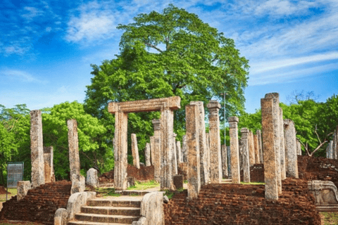 Dambulla: Sigiriya, Polonnaruwa, and Cave Temple Day Trip