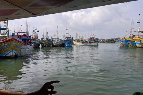 Sri Lanka: 4-Day Wildlife, Culture & Scenic Journey