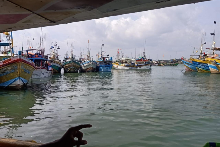 Sri Lanka: 4-Day Wildlife, Culture & Scenic Journey