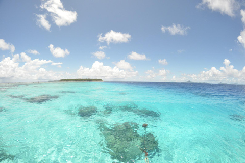 Cancun: Glass-bottom boat tour