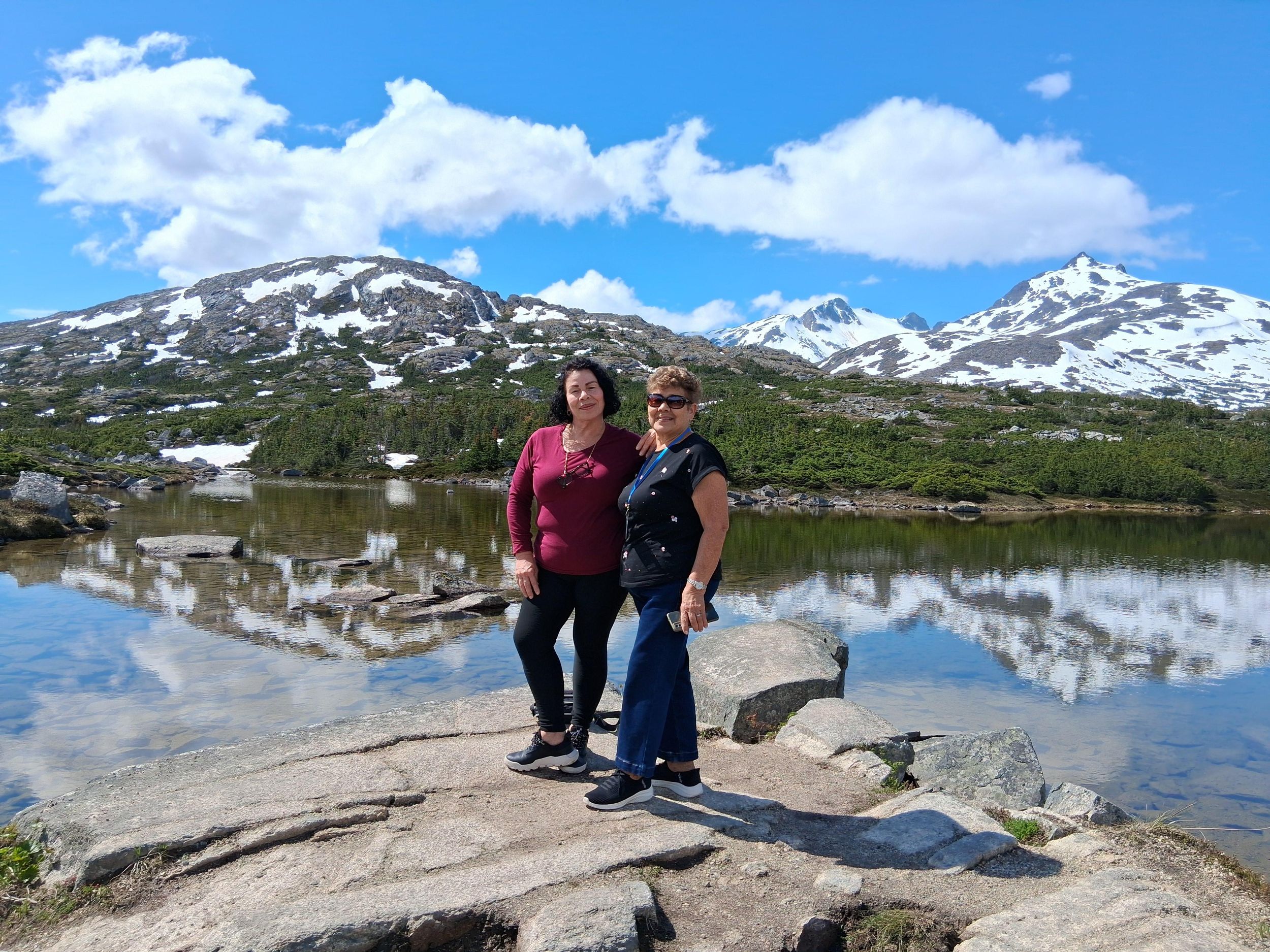 Skagway: Yukon-Hängebrücke & Panorama-Tour zum White Pass