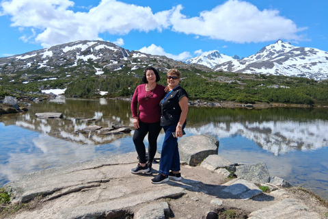 Skagway: Yukon Suspension Bridge & White Pass Scenic Tour