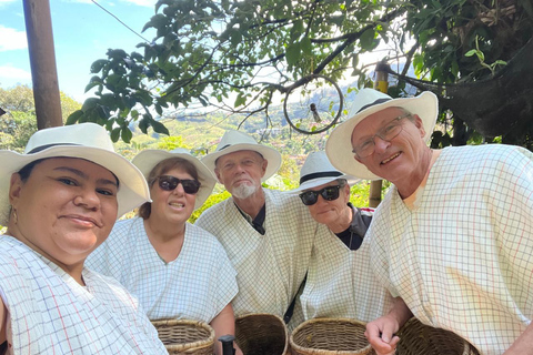From Medellín: Half Day Private Coffee Tour