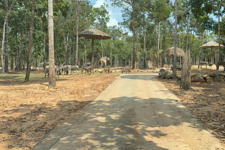 Parc à thème VinWonders et safari à Phu QuocVisite autonome : Vinwonder &amp; Safari Combo