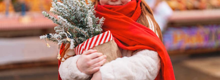 Visite privée des temps forts de Noël à Santa Fe