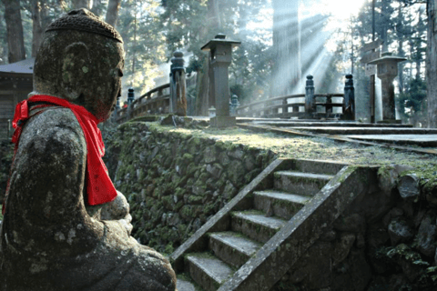 Osaka/Kyoto: Berg Koya &amp; Wakayama Private Tagestour mit GuideTour ab Kyoto