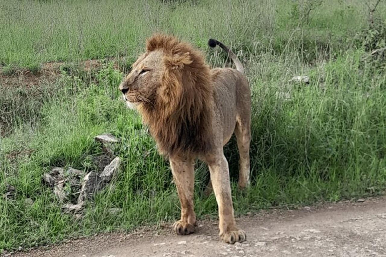 Nairobi: Ol Pejeta Conservancy Day Trip with Game Drives