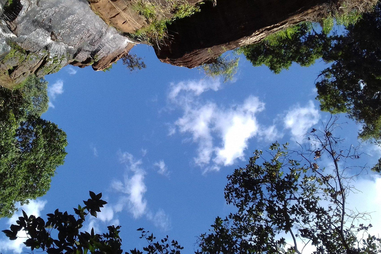 Lushoto: Soni Falls and Usambara Mountains Day Trip