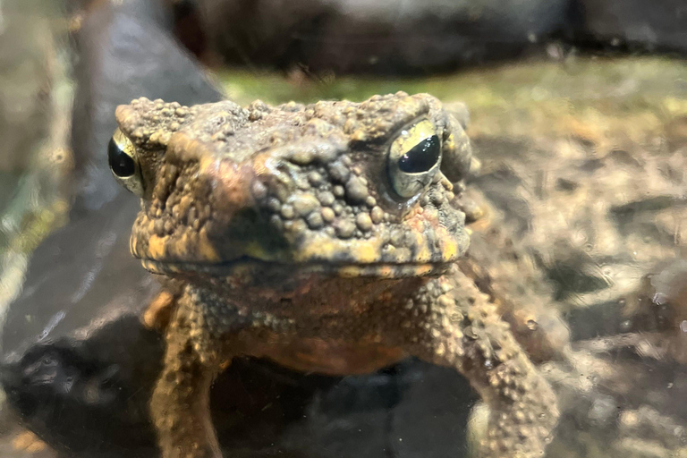 Hike or Boat Trip: Penang National Park & Garden Pick Penang National Park (Trek-In, Boat-Out) & Spice Garden