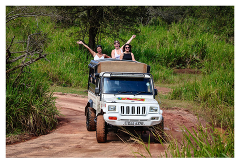 Sigiriya: Minneriya Shared Safari | Kaudulla & Hurulu Eco Kaudulla National Park