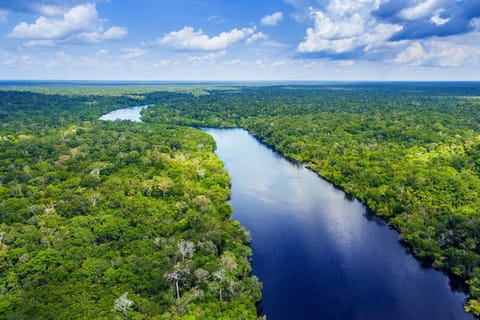 Santos: Waterfall Hike and Boat Ride at the Rain Forest