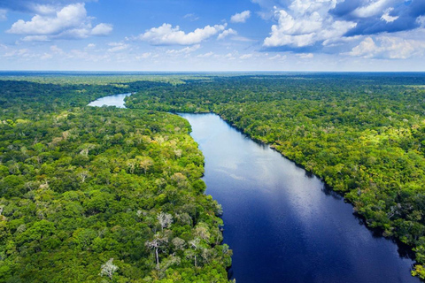 Santos: Waterfall Hike and Boat Ride at the Rain Forest from Sao Paulo: Waterfall Hike and Boat Ride at the R Forest