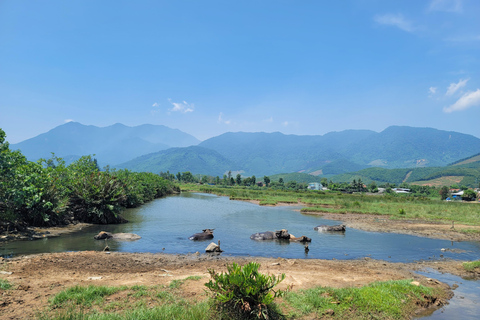 Vanuit Da Nang: Hai Van Pass Loop en stadsrondleiding met EasyriderVanuit Hoi An: Hai Van Pass-rondrit met Easyrider