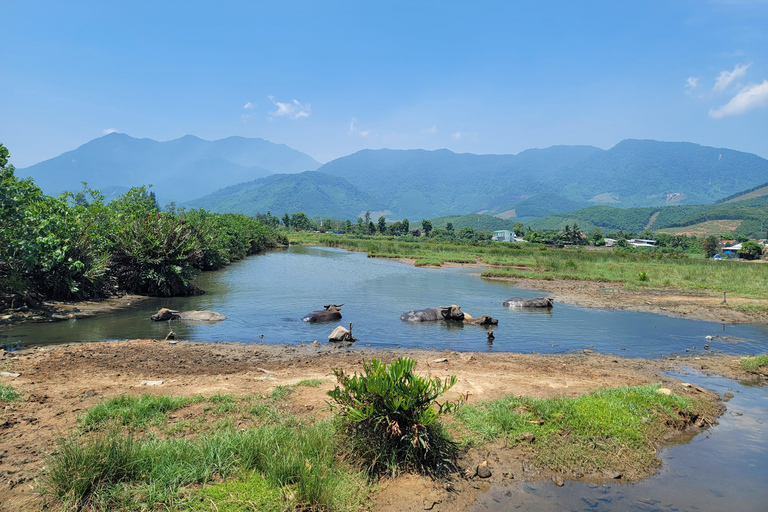 Vanuit Da Nang: Hai Van Pass Loop en stadsrondleiding met EasyriderVanuit Hoi An: Hai Van Pass-rondrit met Easyrider