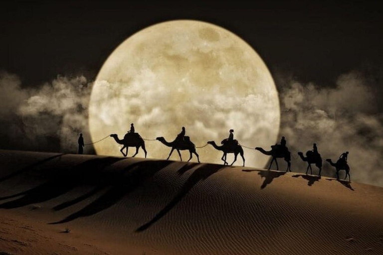 Guided Night Desert Safari in Qatar: Moonlit Dunes, Stars