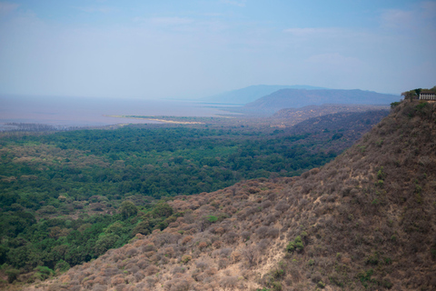 Tanzania: 6-Day Mid-Range Lodge Safari with Meals