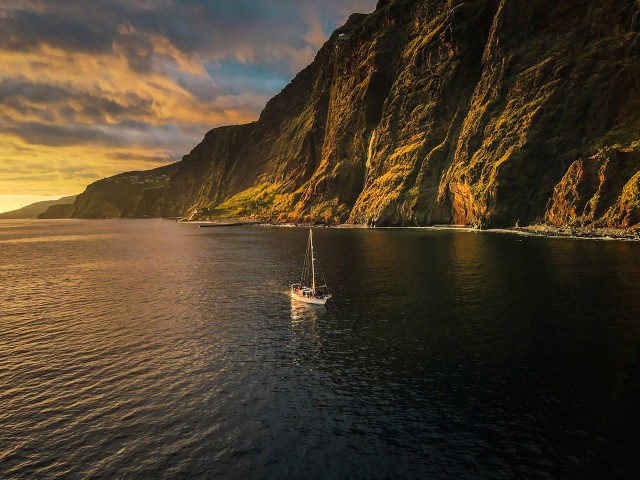 Visit Funchal Dolphin and Whale Watching Sunset Sailing Tour in Machico