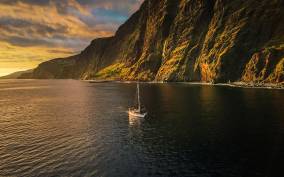 Funchal: Dolphin and Whale Watching Sunset Sailing Tour