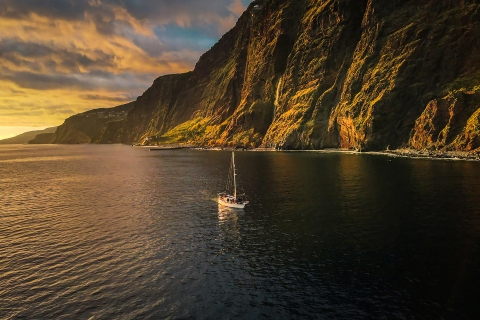 Funchal: dolfijnen en walvissen spotten bij zonsondergang