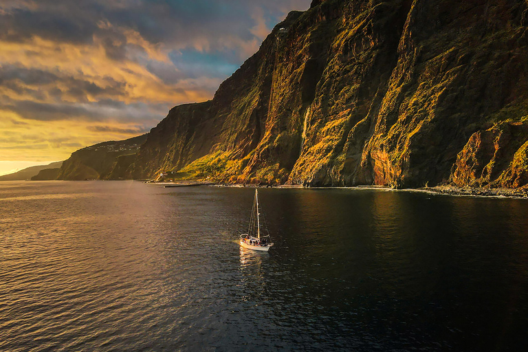 Funchal: dolfijnen en walvissen spotten bij zonsondergang