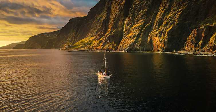 Funchal: Dolphin and Whale Watching Sunset Sailing Tour